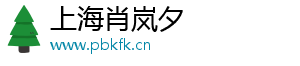 上海肖岚夕